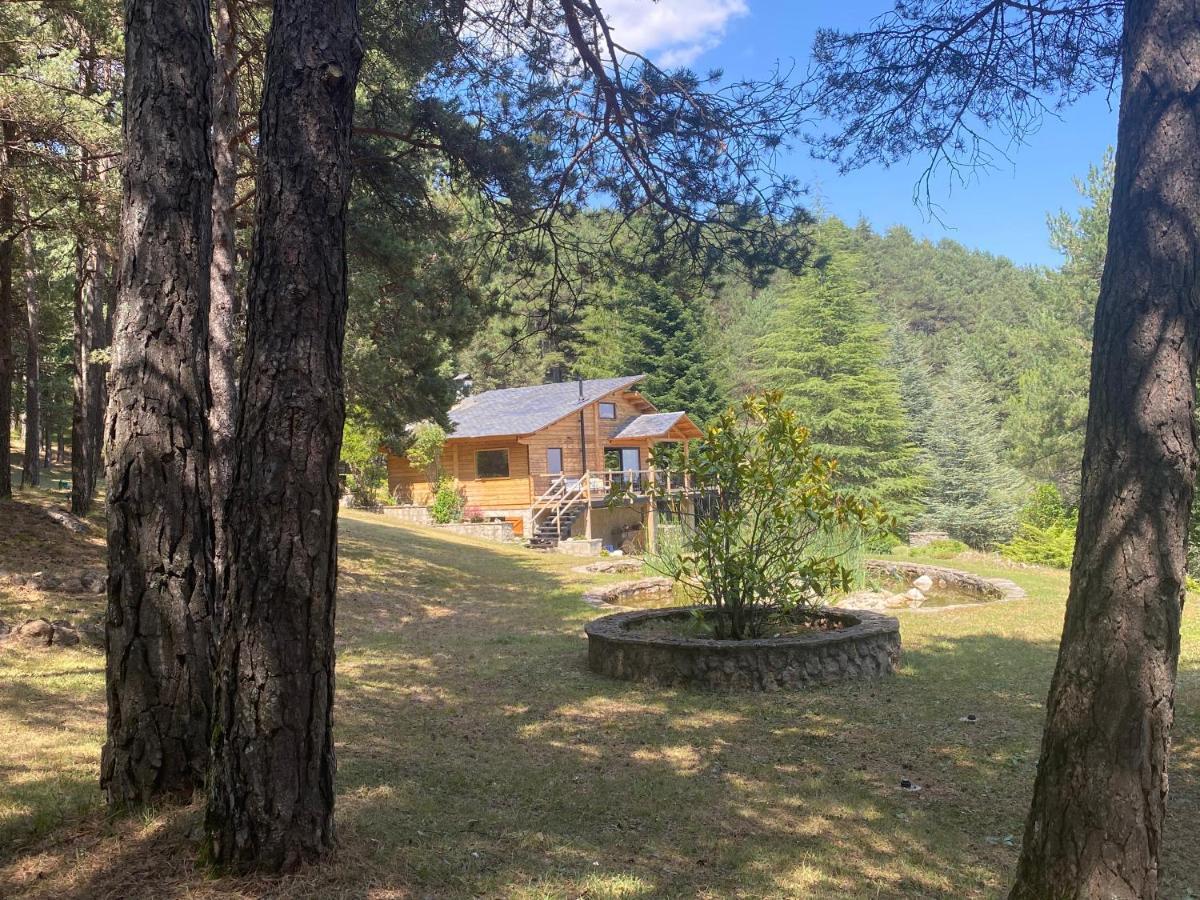 Castellar del RiuEl Refugi De La Torre Espinalbet别墅 外观 照片